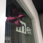 11373940_1643830575865253_142609410_a