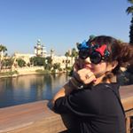 11358118_527145704115227_1285268060_a