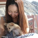 927354_333279930158631_748072231_a