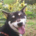 10508074_665098800249842_931752996_a