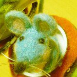 11380027_1624565597817640_390834613_a