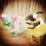 11327238_811970465577162_342938924_a