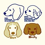 11380098_490580961104647_932777395_a