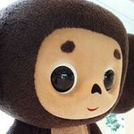 10995135_361566337376636_385862980_a