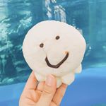 12142094_1671600356408827_517663157_a