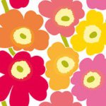 11311146_141972376144098_1911889787_a