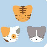 11849920_869356923142794_956084791_a