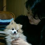 11336053_1630962080508563_1661665751_a