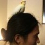 10261284_1139328399416317_341997897_a