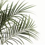 11296832_411741642347429_1594689687_a