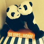 11246073_853623678067476_1044307060_a