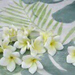 891513_1514629052111893_1714689416_a