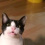 10865051_114799608867264_1900331415_a