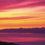 11249790_901013349976233_229308030_a