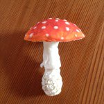 11821351_508267559339597_507694452_a