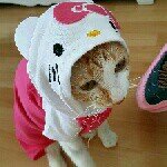 10387934_519835001476930_1542716095_a