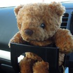 11887101_1486348835011767_1451394991_a