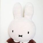 11326255_707356129369058_1956761597_a