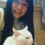 12338627_864227057027661_334349150_a