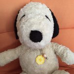 11379017_1882255458666771_1936675133_a