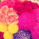 11881627_1631565300432633_167143064_a