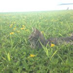 10731687_1534443016772454_958981543_a