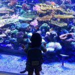 11242130_1439801702981574_1100588799_a