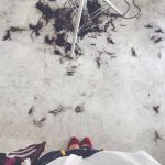 11242648_954268304593310_1676152107_a