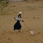 12331710_1721480591415956_20047304_a