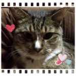 10818027_746716402074113_1320088675_a