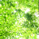 12063065_1018730794816139_200679309_a