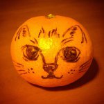 10787840_305280026324516_1668888504_a