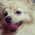 924695_1507772479543210_1546677584_a