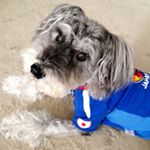 11875442_163745083965399_1212913041_a