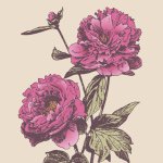 11116781_430778597098354_953607191_a