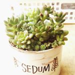 10467845_1462692557382367_463964419_a