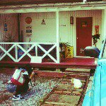 12071140_300606386776520_1864161589_a