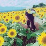 11849998_1045868225531278_1337184155_a