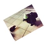 12230960_1657798217838239_1876152285_a