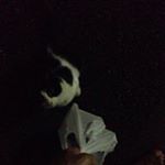 12142137_1637303849876657_2043618123_a