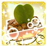 11939531_1680826498855769_1775887837_a