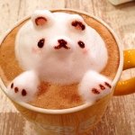 10454234_1449513185296496_1902941876_a