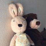 11256357_906840796005830_1854181141_a