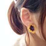 10986336_943078455711119_1568893616_a