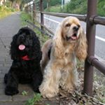 12070651_390306691177999_1891985427_a