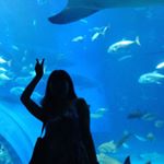 10424549_1187440587936005_625658042_a