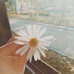 12338912_525119767662230_1505249736_a