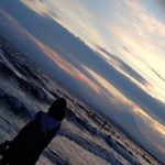 12353939_1033559076687181_1225688167_a