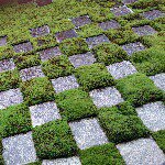 11251011_1602892689964796_806657632_a