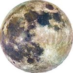 12237247_957544514311085_2009600771_a